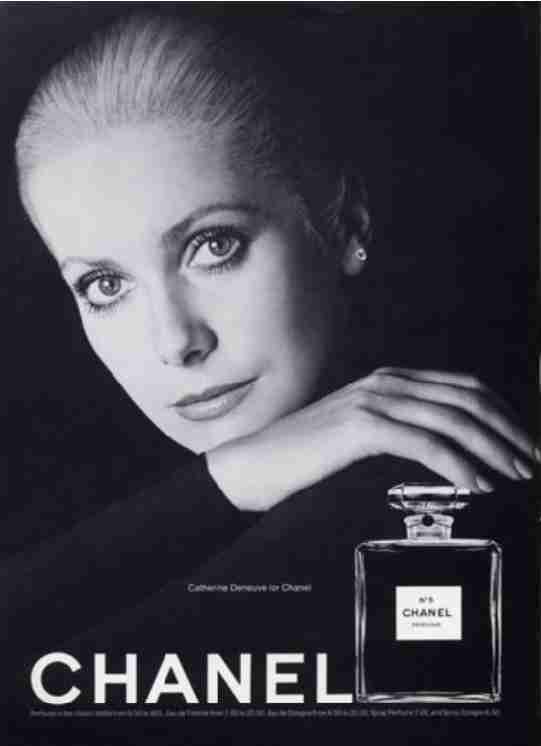 catherine-deneuve-3-image