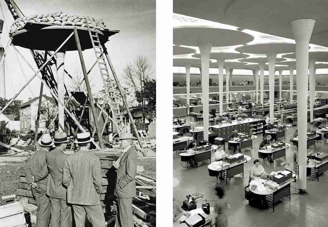 scjohnson-columns-image