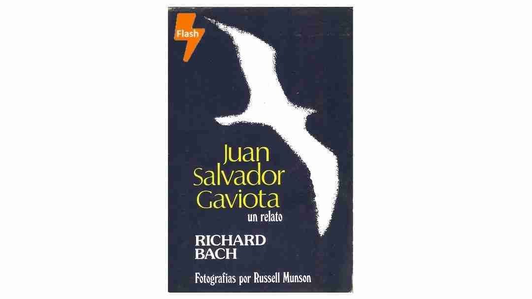 Juan Salvador Gaviota, el libro
